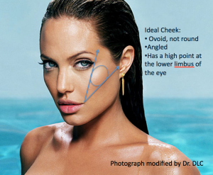 Ideal Cheek Angelina Jolie